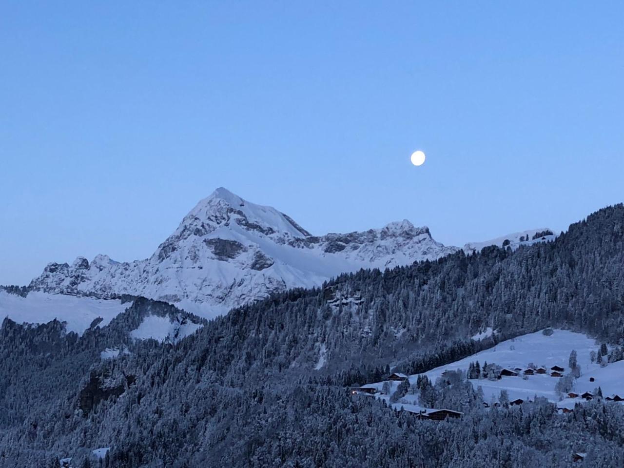 Chalet Nanook Notre-Dame-de-Bellecombe Eksteriør bilde